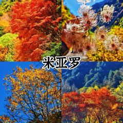 卡万金特色藏餐 User Photo