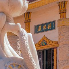 YU YAN LOU User Photo