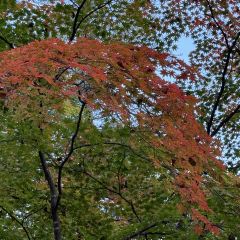 本达人海鲜烧烤(发展店) User Photo