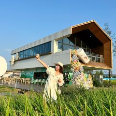 庐江汤池稼圃集民宿·念丘山花园中餐厅 User Photo