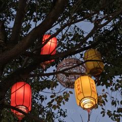 老字号老南门阿旺婆·养生烧仙草 User Photo