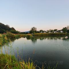 枇杷熟了coffee User Photo