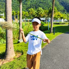 河源春沐源小镇·棕榈树酒店·Papa Razzi西餐厅 User Photo