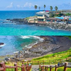 老梁记甜沫肉火烧(吴兴路分店) User Photo