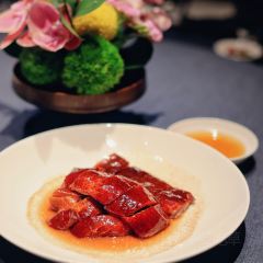 STAR OF PU User Photo