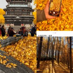 Mr chai Noodle User Photo