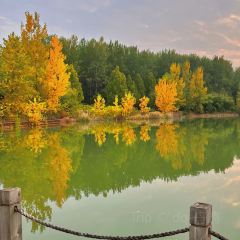 XU XIANG LI LAO FANG ZI User Photo