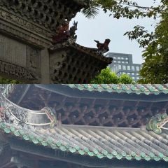 FengCheng ShuangPi Nai User Photo