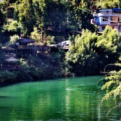 築箐苑張用戶圖片