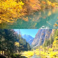 卡万金特色藏餐 User Photo