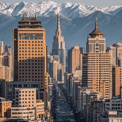 위 가문의 새끼 여행 사진