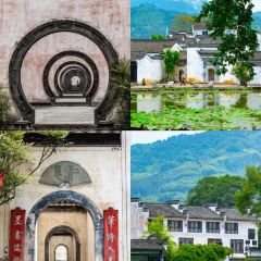 Cheng kan mao dou fu User Photo