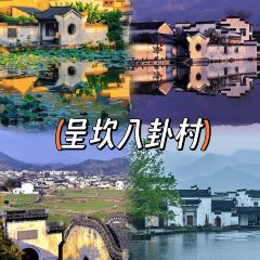 秀嫂挞粿 User Photo