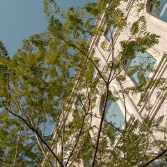 重庆既象SUNYATA度假民宿·白崖餐厅 User Photo