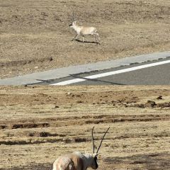 Meiweirouhuimi Restaurant User Photo