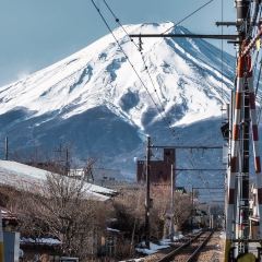 Fujiyama Cookie User Photo