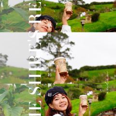 The Shire's Rest Cafe User Photo
