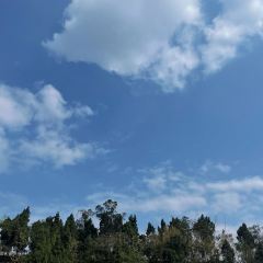 江从明巴适蒸笼 User Photo