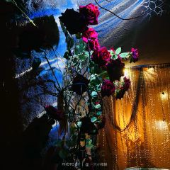 Vault Bar User Photo