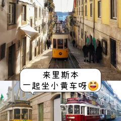 A BRASILEIRA DO CHIADO User Photo