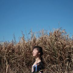 云上平田·爷爷家咖啡 User Photo
