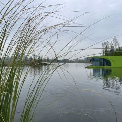 Indeed Cafe 硬地 User Photo