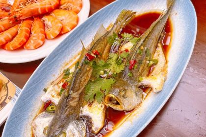 33HAO DA YUANQING DAO CAI