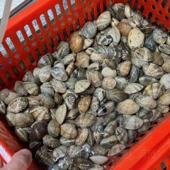 四海鲜蒸·海鲜大咖(南澳美食热卖店) User Photo