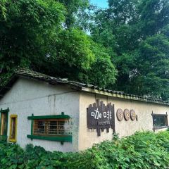 凡塔夕 User Photo