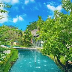 Elefin Farm & Cafe เอเลฟิน ฟาร์ม แอนด์ คาเฟ่ User Photo