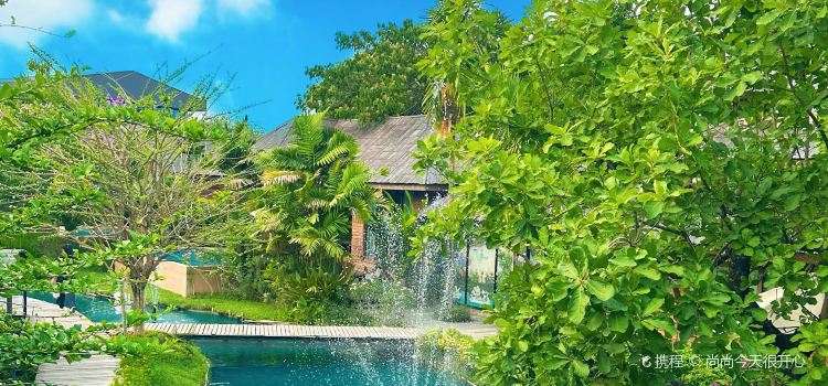Elefin Farm & Cafe เอเลฟิน ฟาร์ม แอนด์ คาเฟ่