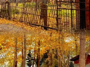 洞庭山莊(白果村店)