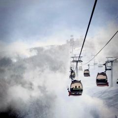 無热宇宙民宿·路边野餐X荒野咖啡 User Photo
