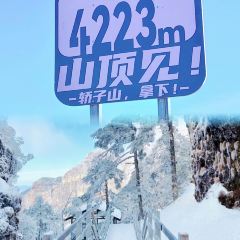 轿子山游雪山庄 User Photo