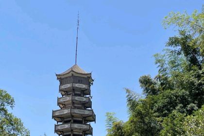 刘抄手