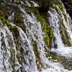 RU YI LIN KA CANG CAN User Photo