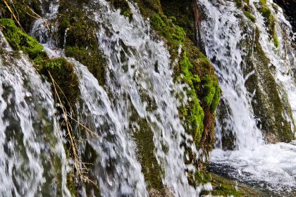 RU YI LIN KA CANG CAN