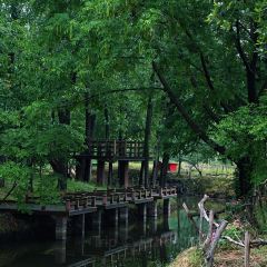 SOYA素晏咖啡(南山店) User Photo