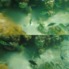 Hidden Langkawi User Photo