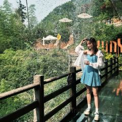BAN DAO User Photo