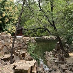 东关回民小吃一条街 User Photo