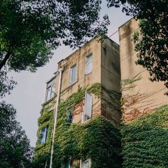 冬芳蛋饼 User Photo