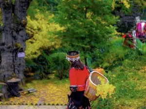 盘州·东湖里·假日酒店(东湖公园银杏广场店)·四季三食