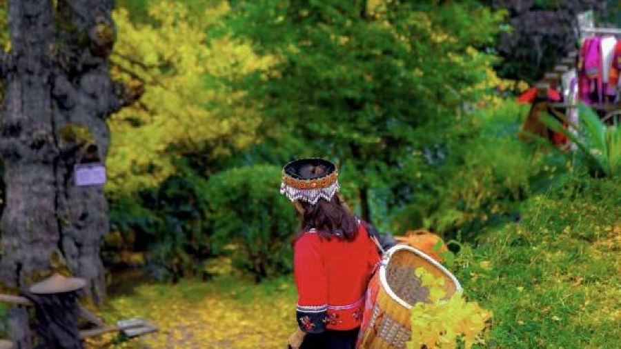 盘州·东湖里·假日酒店(东湖公园银杏广场店)·四季三食