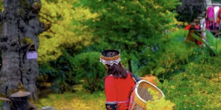 盤州·東湖裡·假日酒店（東湖公園銀杏廣場店）·四季三食