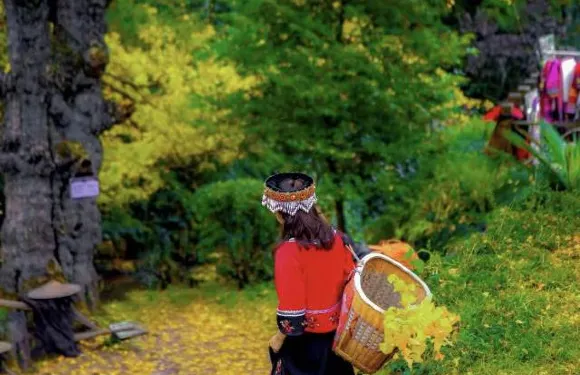 盤州·東湖裡·假日酒店（東湖公園銀杏廣場店）·四季三食