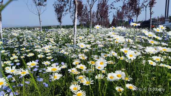 Kurustai Grassland Scenic Area