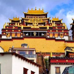 半途而沸 白塔·观景咖啡 User Photo