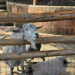 山里·落日小院·亲子营地·烤肉(云篆山店) 여행 사진