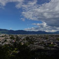 Amandayan Tea House Bistro User Photo